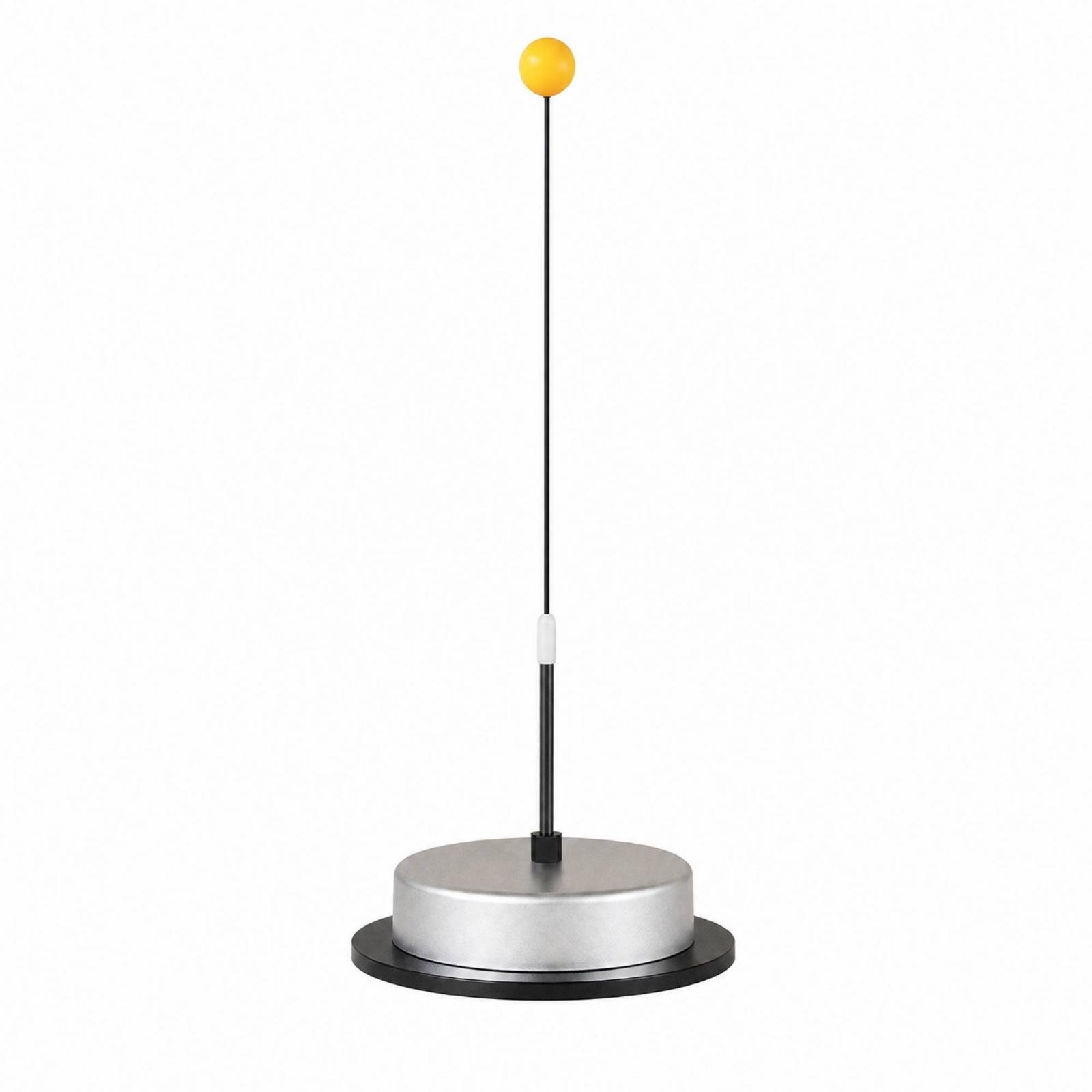 Table Tennis Height - Tischtennis-Set mit Edelstahlbasis, selbstrückkehrender Tischtennistrainer mit